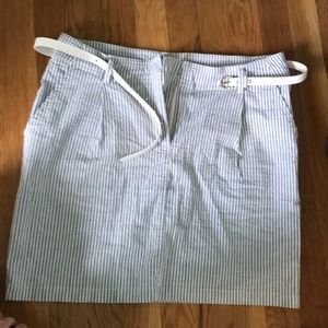 Pinstripe Skirt with Belt